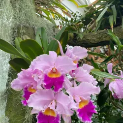 Duke Farms - Bergen County