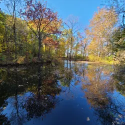 Flat Rock Brook Nature Center - Bergen County