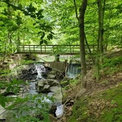 Flat Rock Brook Nature Center - Bergen County