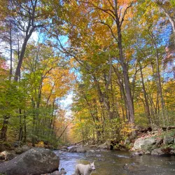 Harriman State Park - Bergen County