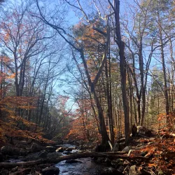 Harriman State Park - Bergen County