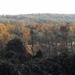 Governor Livingston High School Sports Complex - Berkeley Heights