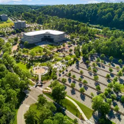 Mayo Park - Berkeley Heights