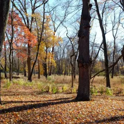 Mountain View Park - Berkeley Heights