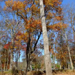 Mountain View Park - Berkeley Heights