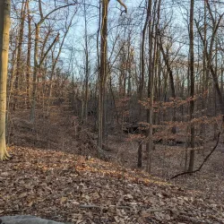 Passaic River Park - Berkeley Heights
