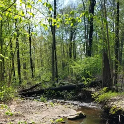 Passaic River Park - Berkeley Heights