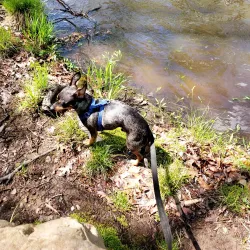 Passaic River Park - Berkeley Heights