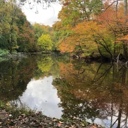 Passaic River Park - Berkeley Heights