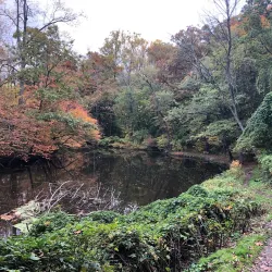 Passaic River Park - Berkeley Heights