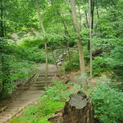 Passaic River Park - Berkeley Heights