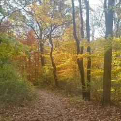Watchung Reservation - Berkeley Heights