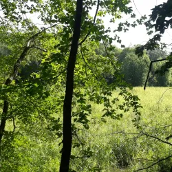 Blackwood Historical Walking Tour - Blackwood