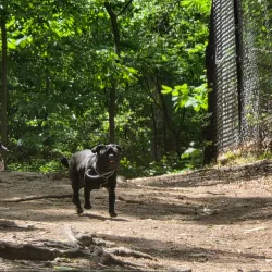 Blackwood Historical Walking Tour - Blackwood