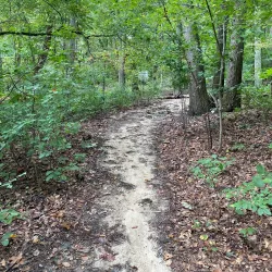 Blackwood Historical Walking Tour - Blackwood