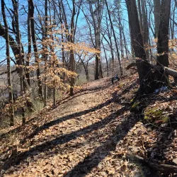 Blackwood Historical Walking Tour - Blackwood