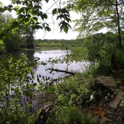 Blackwood Historical Walking Tour - Blackwood