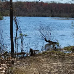 Blackwood Historical Walking Tour - Blackwood