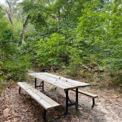 Blackwood Historical Walking Tour - Blackwood