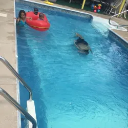 Gloucester Township Community Center - Blackwood