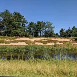 Pine Acres Golf Course - Blackwood