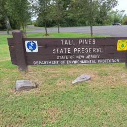 Tall Pines State Preserve - Blackwood