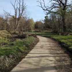 Tall Pines State Preserve - Blackwood