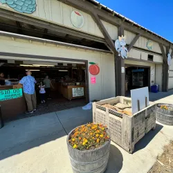 Bloomfield Farmers Market - Bloomfield