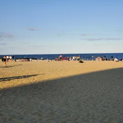 Bradley Beach Dog Park - Bradley Beach