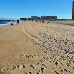 Bradley Beach Dog Park - Bradley Beach