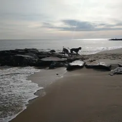 Bradley Beach Dog Park - Bradley Beach