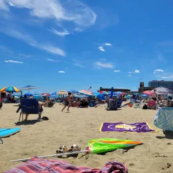 Bradley Beach Dog Park - Bradley Beach