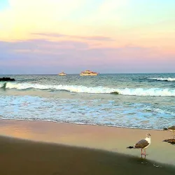 Bradley Beach Marina - Bradley Beach