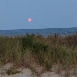 Bradley Beach Skate Park - Bradley Beach