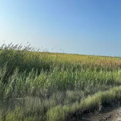 Bridgeton Historic District - Bridgeton