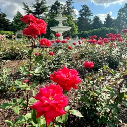 Colonial Park - Bridgewater