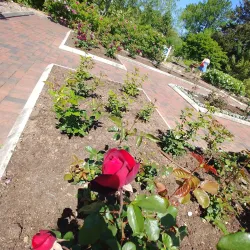 Colonial Park - Bridgewater