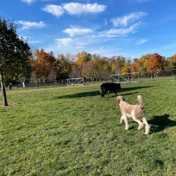 Colonial Park - Bridgewater