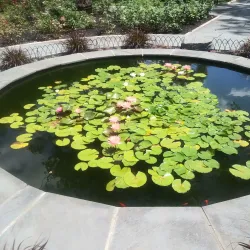 Colonial Park - Bridgewater