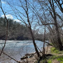 Duke Island Park - Bridgewater