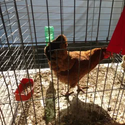 North Branch Park - Bridgewater