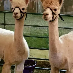 North Branch Park - Bridgewater