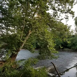 North Branch Park - Bridgewater