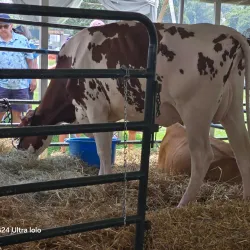 North Branch Park - Bridgewater