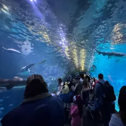 New Jersey State Aquarium (part of Adventure Aquarium) - Camden