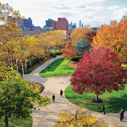 Rutgers University–Camden - Camden