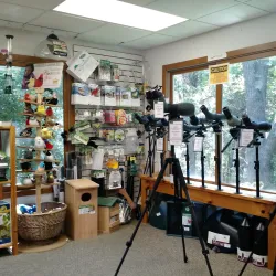 Cape May Bird Observatory - Cape May Court House