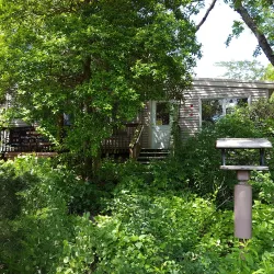 Cape May Bird Observatory - Cape May Court House