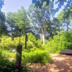 Cape May Bird Observatory - Cape May Court House