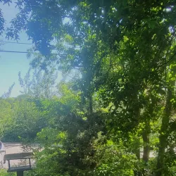 Cape May Bird Observatory - Cape May Court House